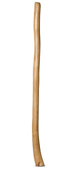 Natural Finish Didgeridoo (TW817)